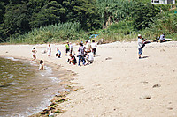 Dsc08481