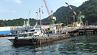 Dscf0555