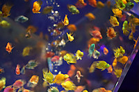 Dsc08903