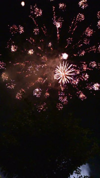 Mov_2605_1