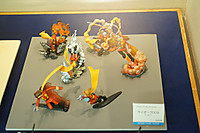 Dsc00226
