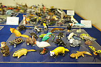 Dsc00391