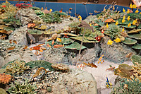 Dsc00404