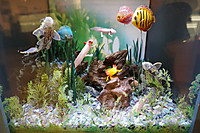 Dsc00441