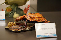 Dsc00549