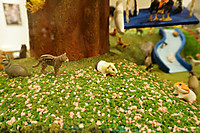 Dsc00806